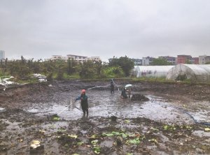 福鼎河道鱼塘清淤