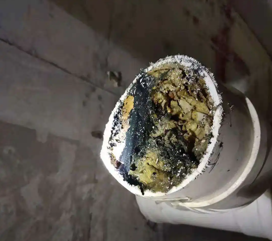 1690766556366220.png